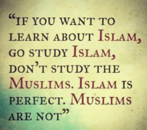 Screen Shot 2018-11-12 at 10.37.21 AM.png