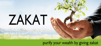 Screen Shot 2019-12-12 at 6.48.37 PM